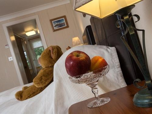 The Overscaig House Hotel Rom bilde